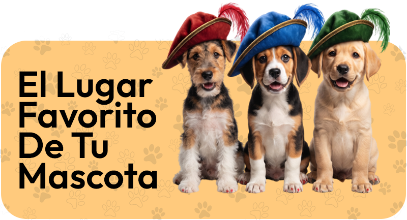 Hero cabecera